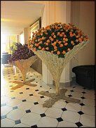 www.floristic.ru - .        