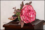 www.floristic.ru - . 