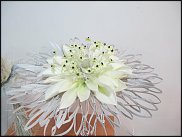 www.floristic.ru - . -  