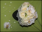 www.floristic.ru - .   - :)