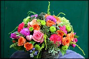 www.floristic.ru - . ,  .