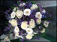 www.floristic.ru - .  