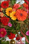 www.floristic.ru - .  