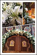 www.floristic.ru - .  