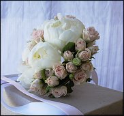 www.floristic.ru - .  .