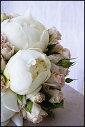 www.floristic.ru - .  .