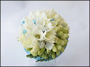 www.floristic.ru - .  .