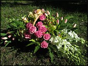 www.floristic.ru - . ,  .