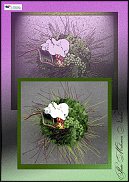 www.floristic.ru - .  