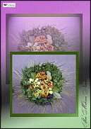 www.floristic.ru - .  