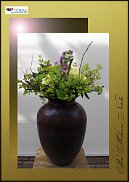 www.floristic.ru - .  