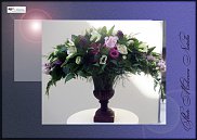 www.floristic.ru - .  