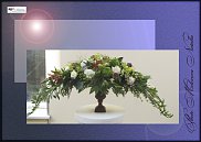 www.floristic.ru - .  