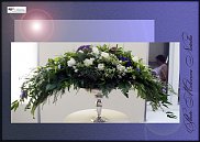 www.floristic.ru - .  