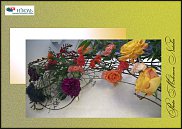 www.floristic.ru - .  