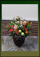 www.floristic.ru - .  