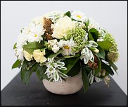 www.floristic.ru - . WEB      " WEB format"