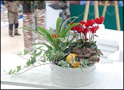 www.floristic.ru - .   .