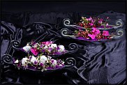 www.floristic.ru - .  .