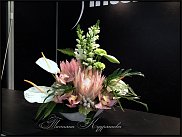 www.floristic.ru - .   .