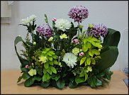 www.floristic.ru - .   "   "