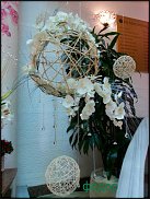 www.floristic.ru - .  - 