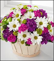 www.floristic.ru - . ,  .