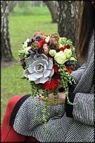 www.floristic.ru - .  .