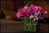 www.floristic.ru - .      