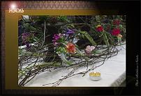 www.floristic.ru - .  