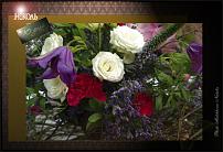 www.floristic.ru - .  