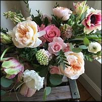 www.floristic.ru - .  "" (, )