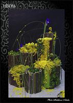 www.floristic.ru - .  