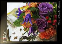 www.floristic.ru - .  