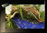 www.floristic.ru - .  