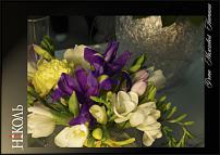 www.floristic.ru - .  