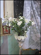 www.floristic.ru - .  