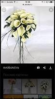 www.floristic.ru - .  .