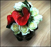 www.floristic.ru - .    !