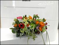 www.floristic.ru - .   .