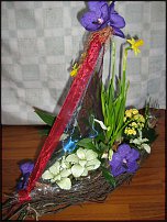 www.floristic.ru - .   ....