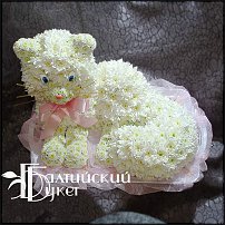 www.floristic.ru - .   ....