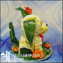 www.floristic.ru - .   ....