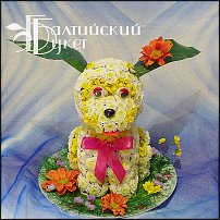 www.floristic.ru - .   ....