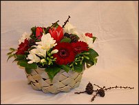 www.floristic.ru - .    !!!