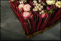 www.floristic.ru - .  