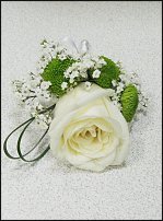 www.floristic.ru - .  .