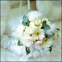 www.floristic.ru - .  .