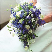 www.floristic.ru - .  .