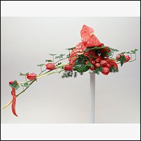 www.floristic.ru - .  .